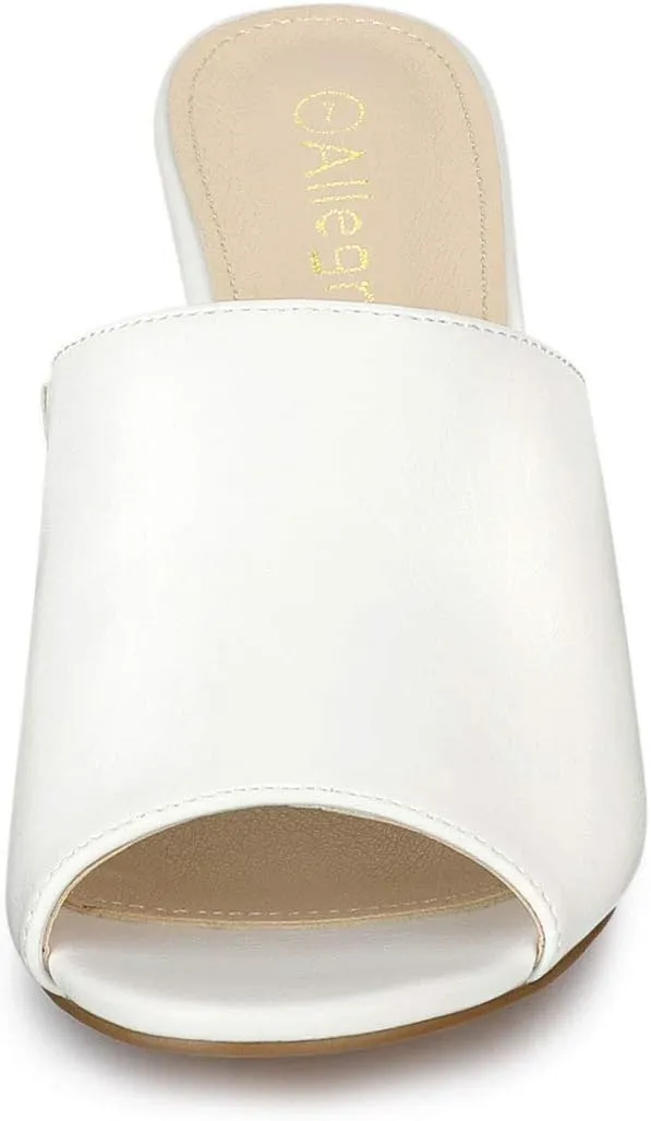 Allegra K Women's Slip on Block Heel Slide Sandals