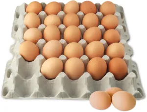 Stromberg's 30-Count Paper Egg Filler Flats, Biodegradable Bulk Egg Trays for Chickens and Ducks, Eco-Friendly Egg Flat for Safe Transport, Storage, and Sale, 140-Pack (Eggs Not Included)