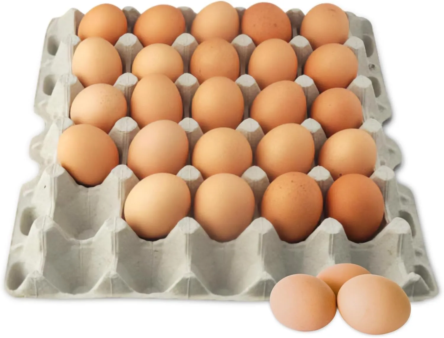 Stromberg's 30-Count Paper Egg Filler Flats, Biodegradable Bulk Egg Trays for Chickens and Ducks, Eco-Friendly Egg Flat for Safe Transport, Storage, and Sale, 140-Pack (Eggs Not Included)